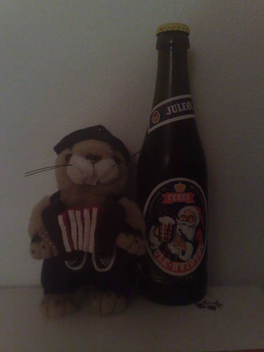28042008163.jpg